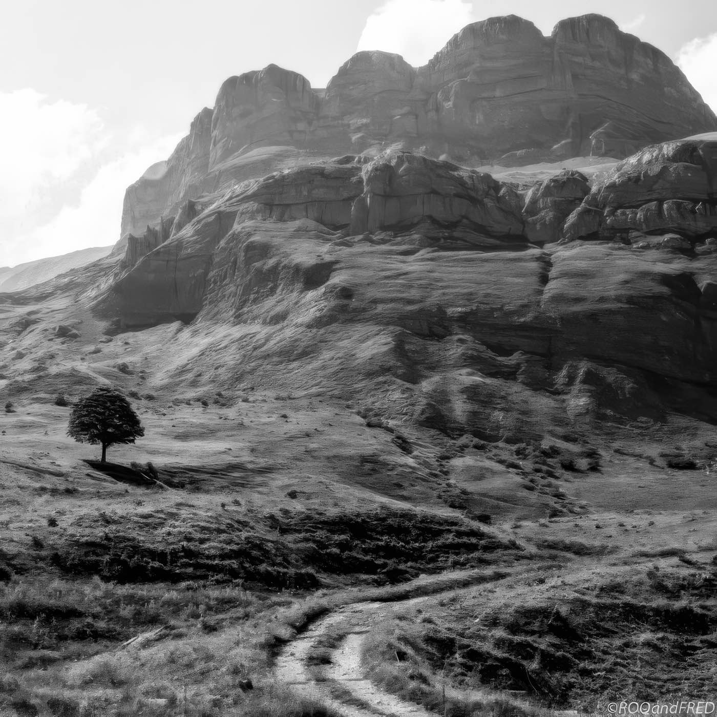 Arbres-0018