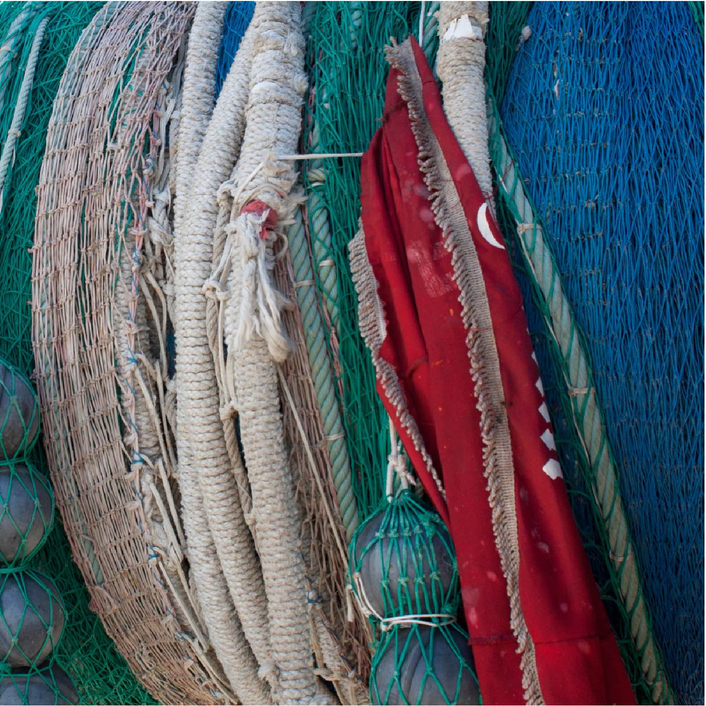 Filets-0003