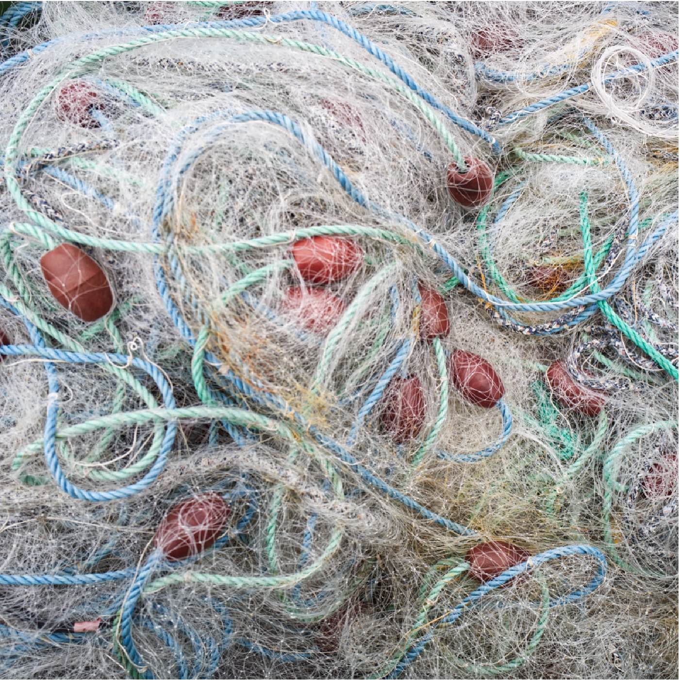 Filets-0005
