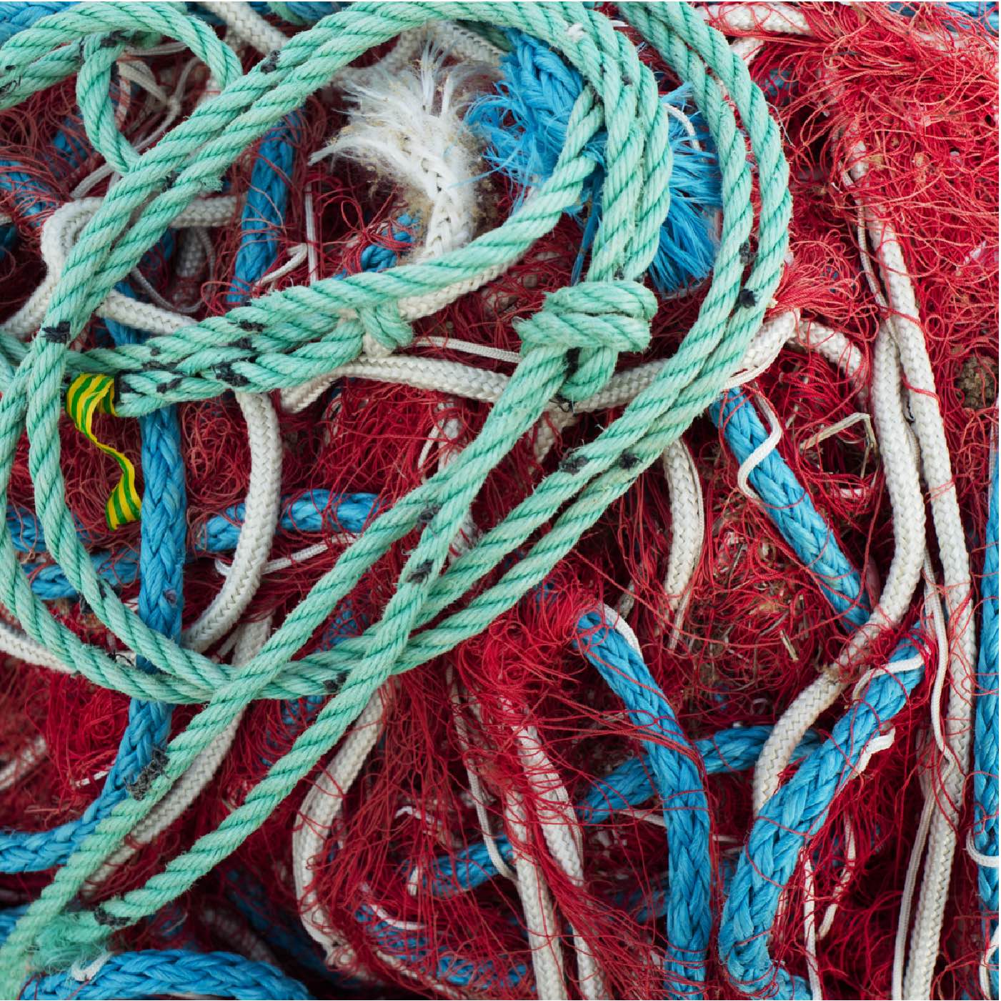 Filets-0006