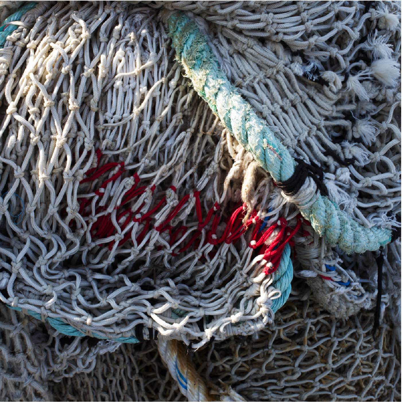 Filets-0010