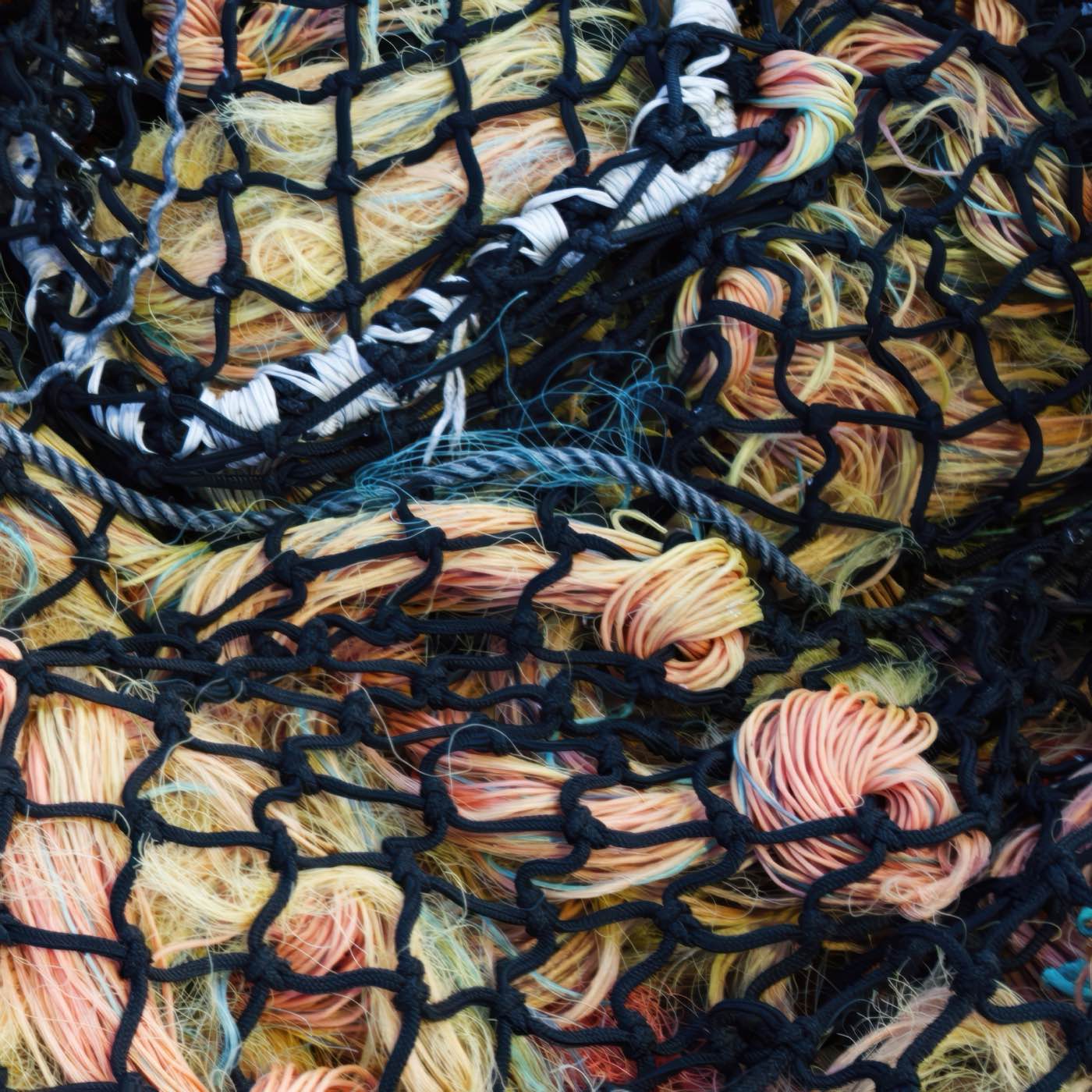 Filets-0018