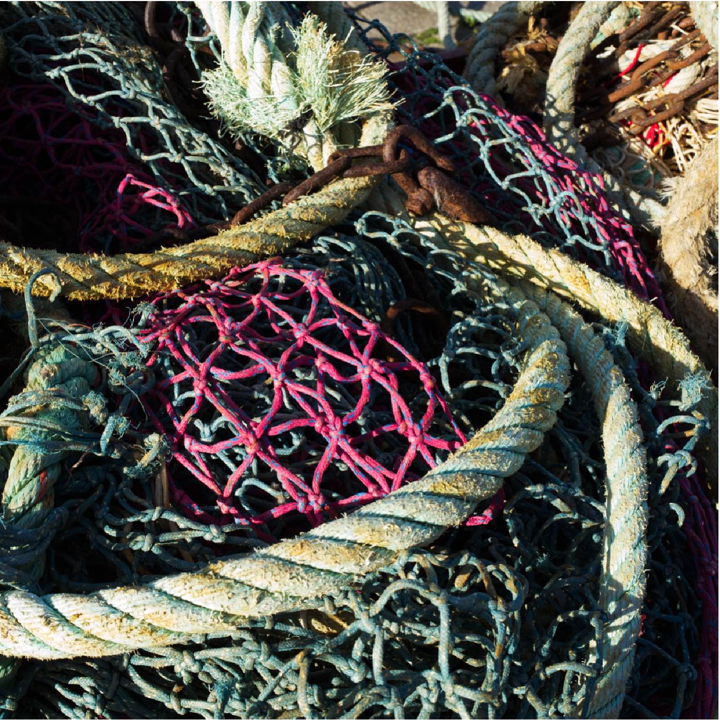 Filets-0019