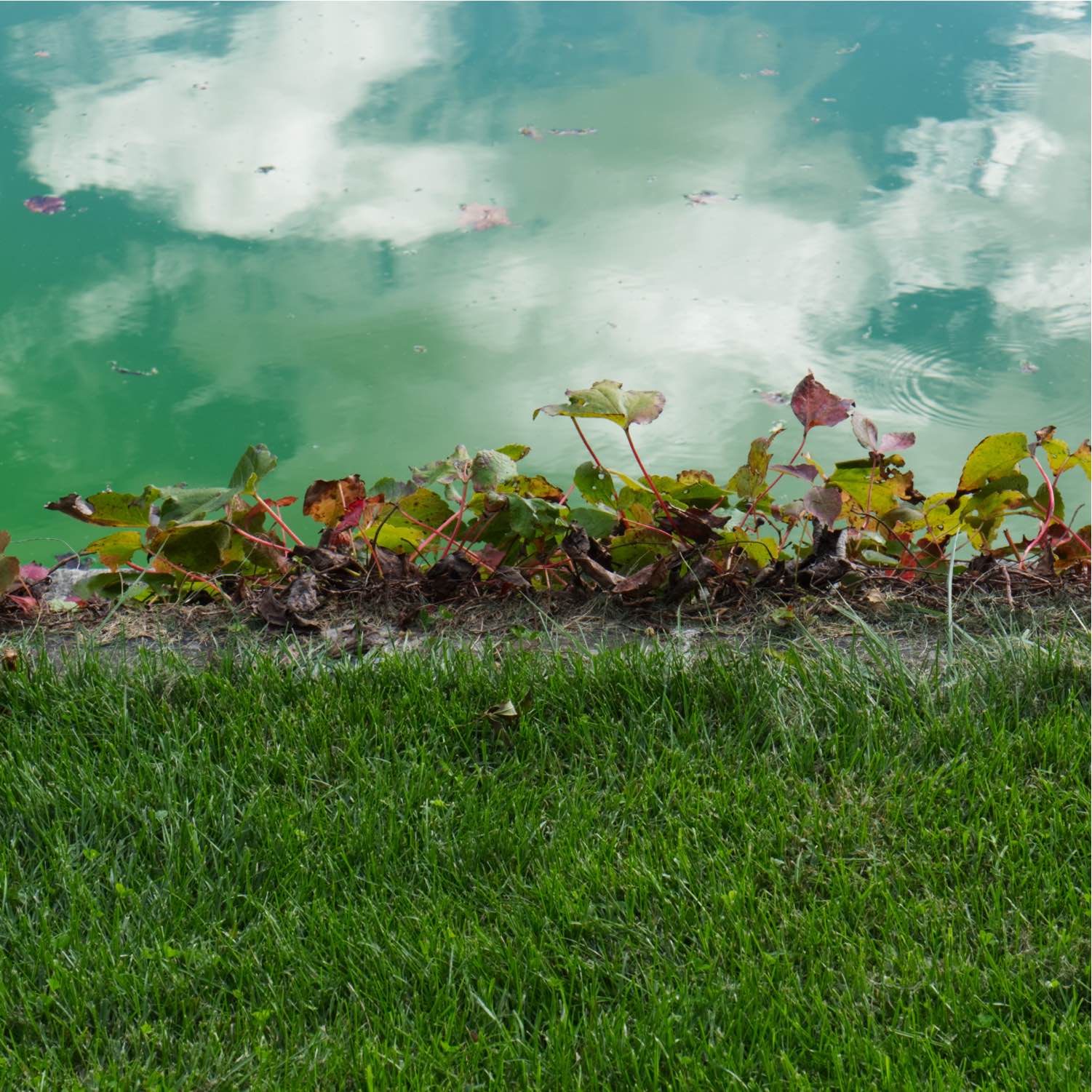 Etangs
