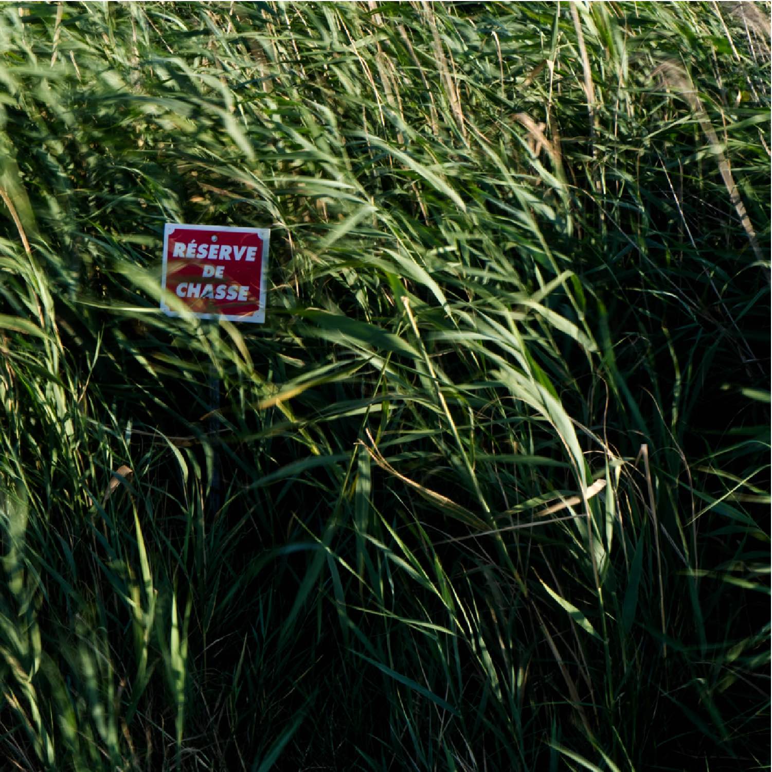 Etangs-16