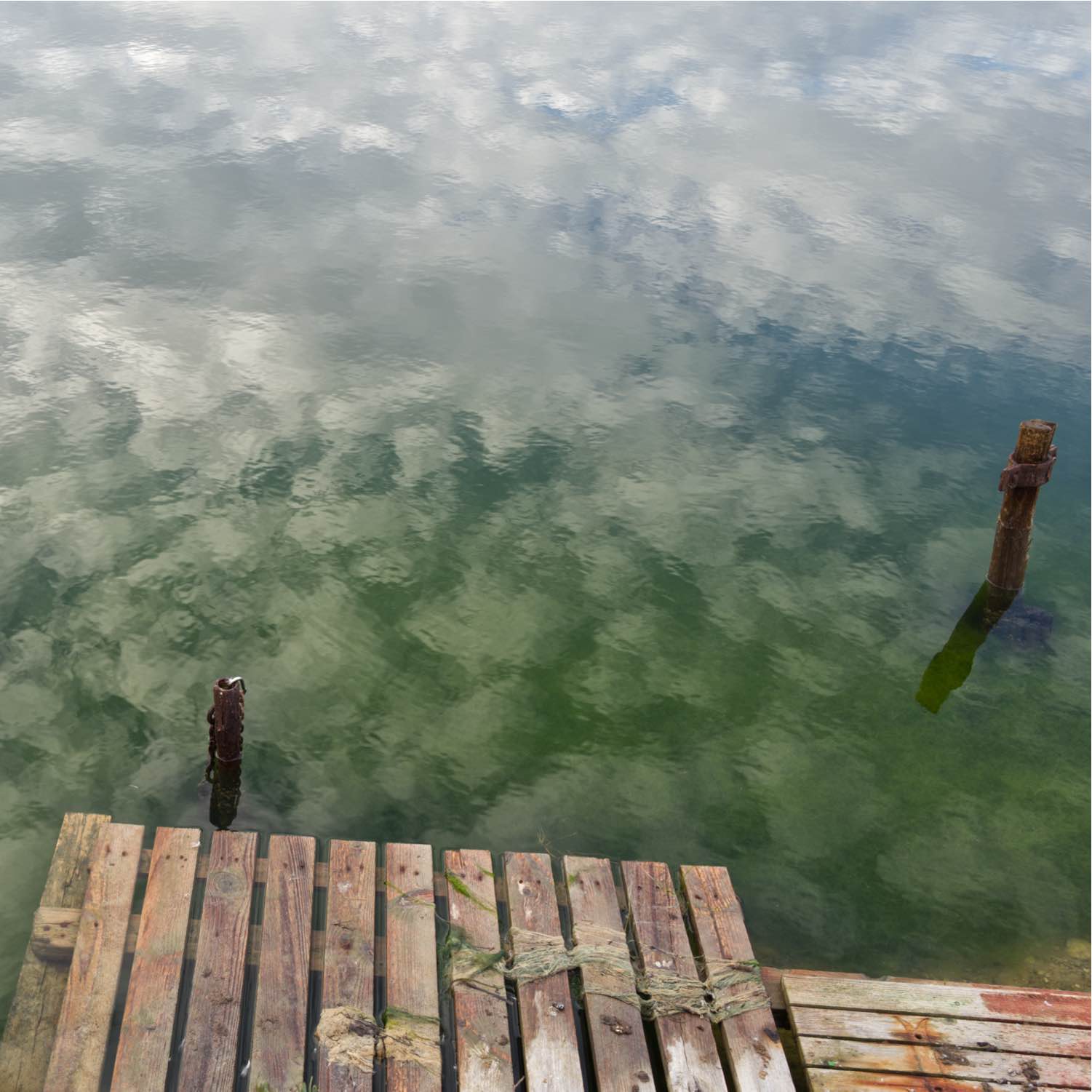 Etangs-37
