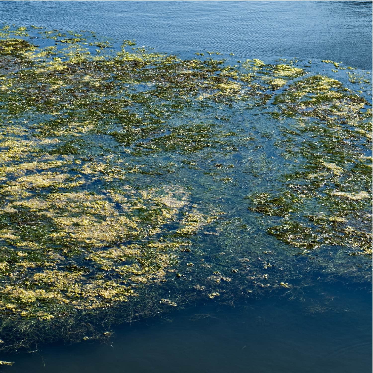 Etangs-5