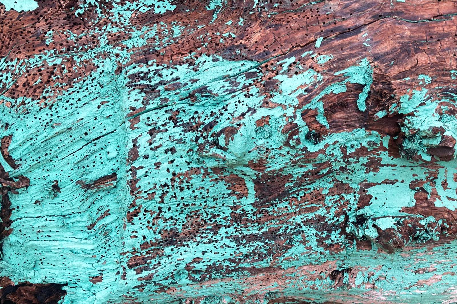 Tronc-Arbres-9